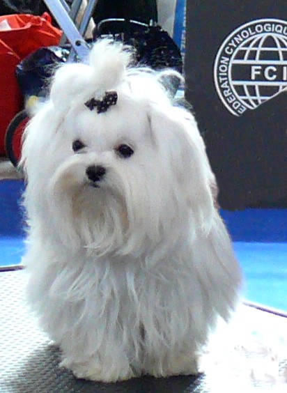 charmienne 1.jpg